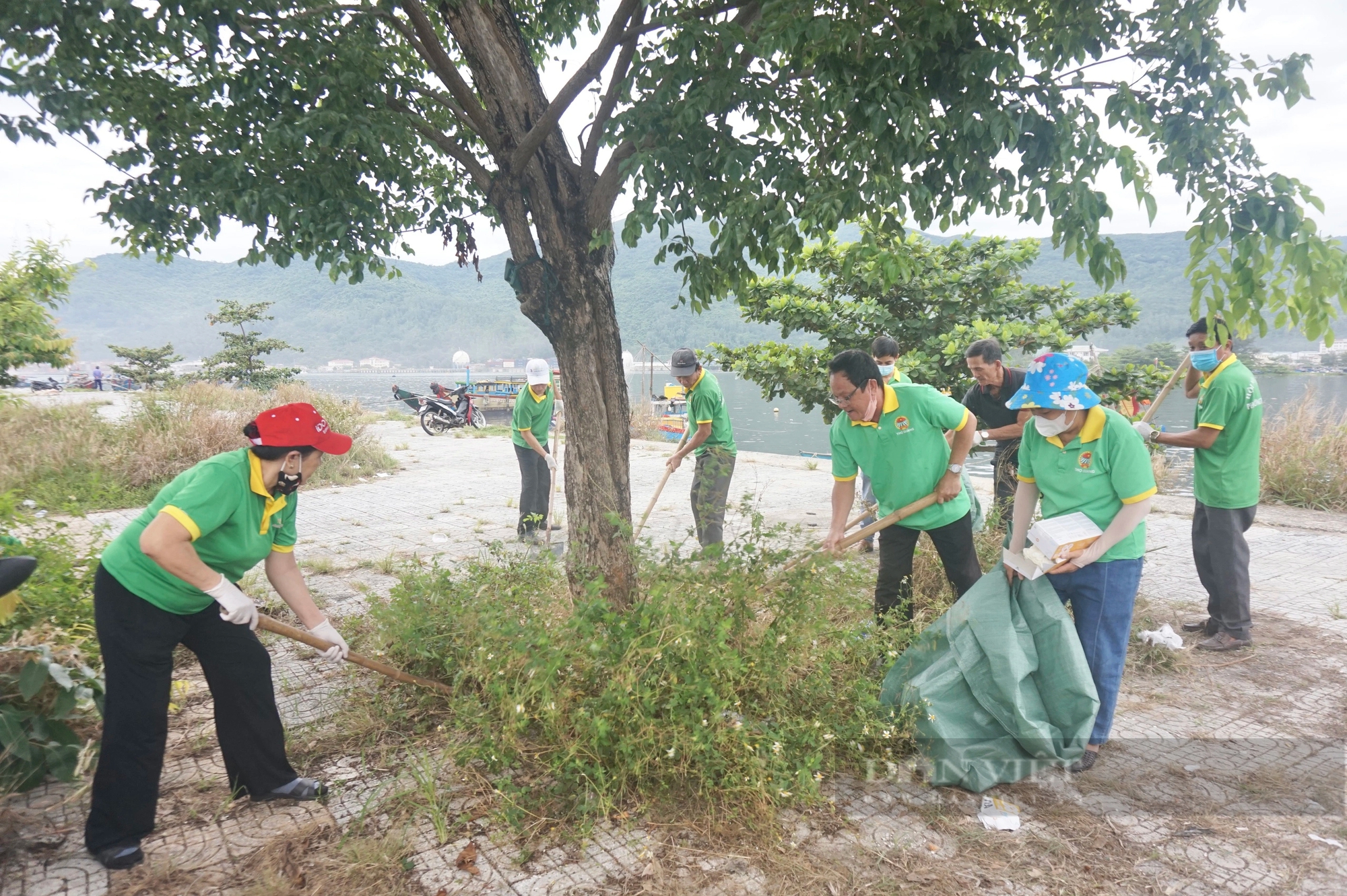 Nông dân Đà Nẵng chung tay bảo vệ môi trường, bảo vệ biển và đại dương- Ảnh 5.