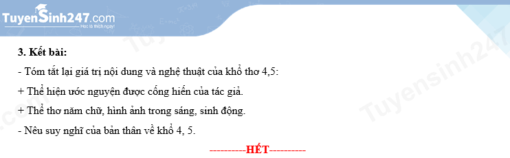 Đề thi môn Văn vào lớp 10 năm 2024 của Ninh Thuận có gợi ý đáp án- Ảnh 5.