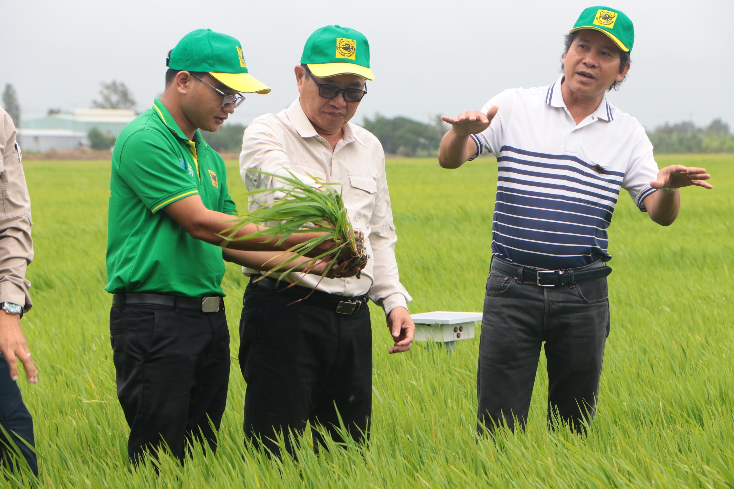 Lãnh đạo Campuchia tâm đắc với chương trình canh tác lúa thông minh của Việt Nam- Ảnh 5.