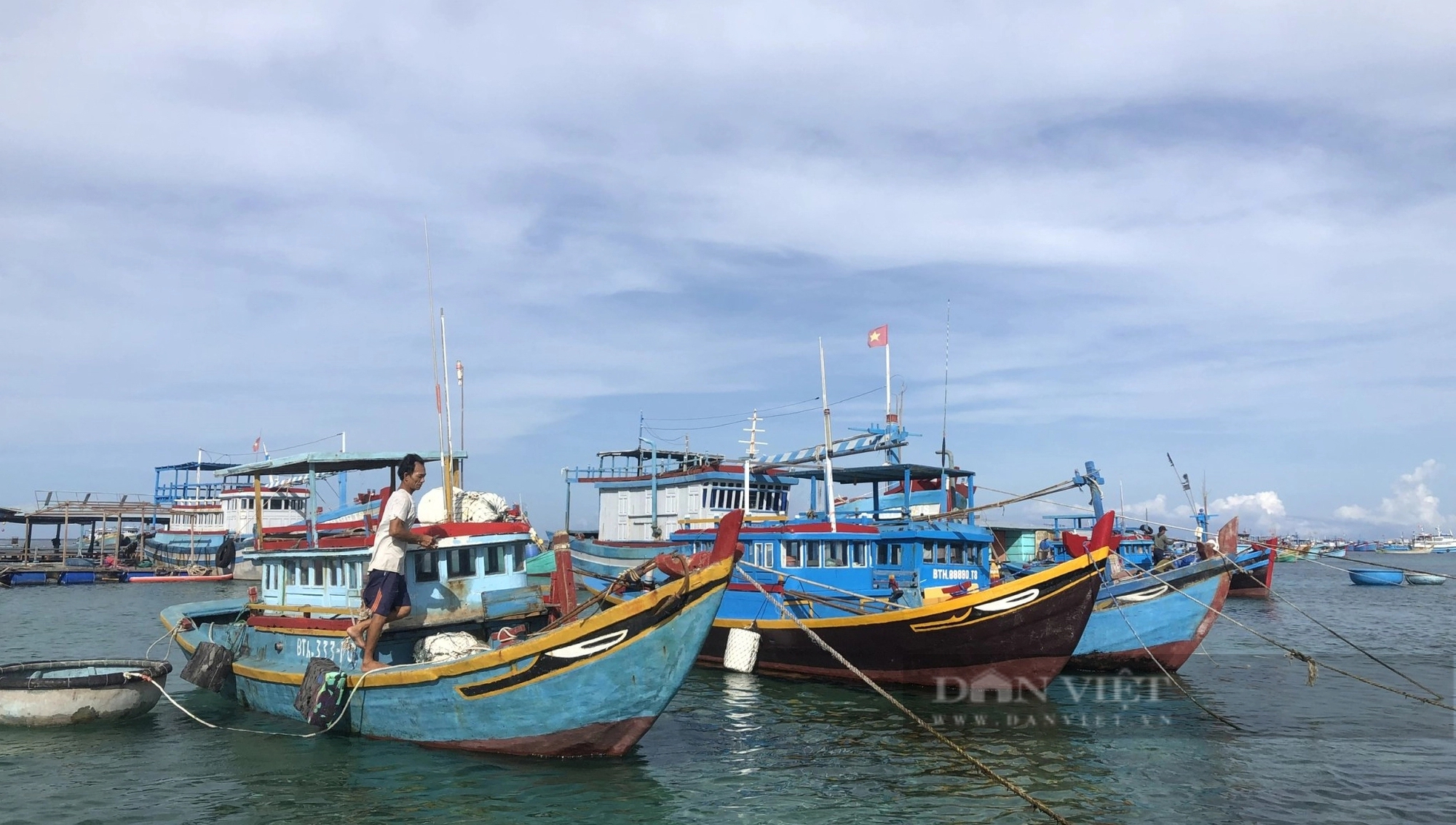 Bình Thuận "tuyên chiến" với tàu cá “3 không” vi phạm vùng biển nước ngoài- Ảnh 1.