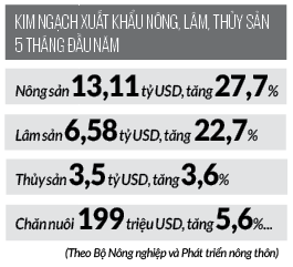 Bán rau quả, gạo, thủy sản,... cho toàn cầu, Việt Nam đã thu 24,14 tỷ USD- Ảnh 2.