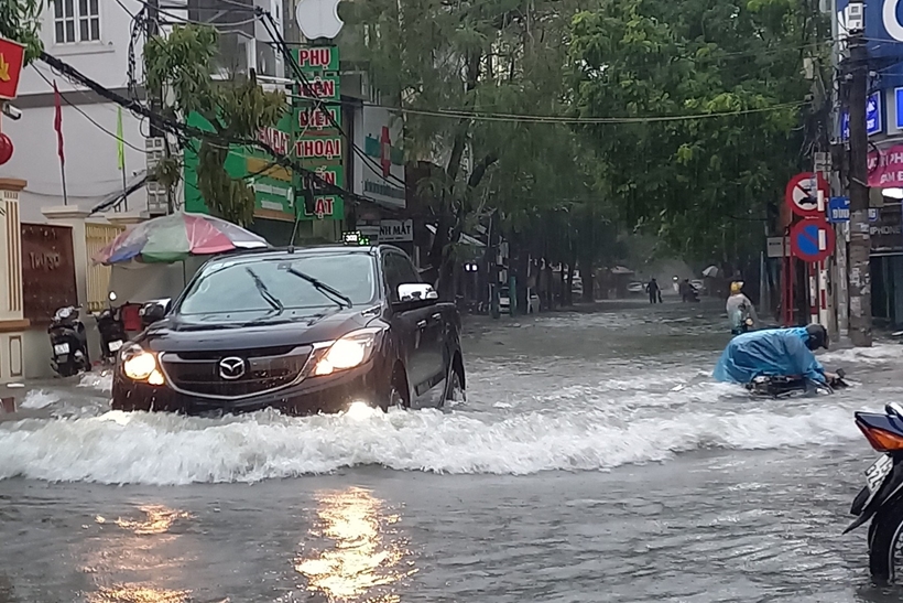 Hải Phòng: Hàng trăm hécta hoa, cây cảnh và hầu hết các tuyến phố nội thành bị ngập úng nặng do mưa lớn- Ảnh 3.