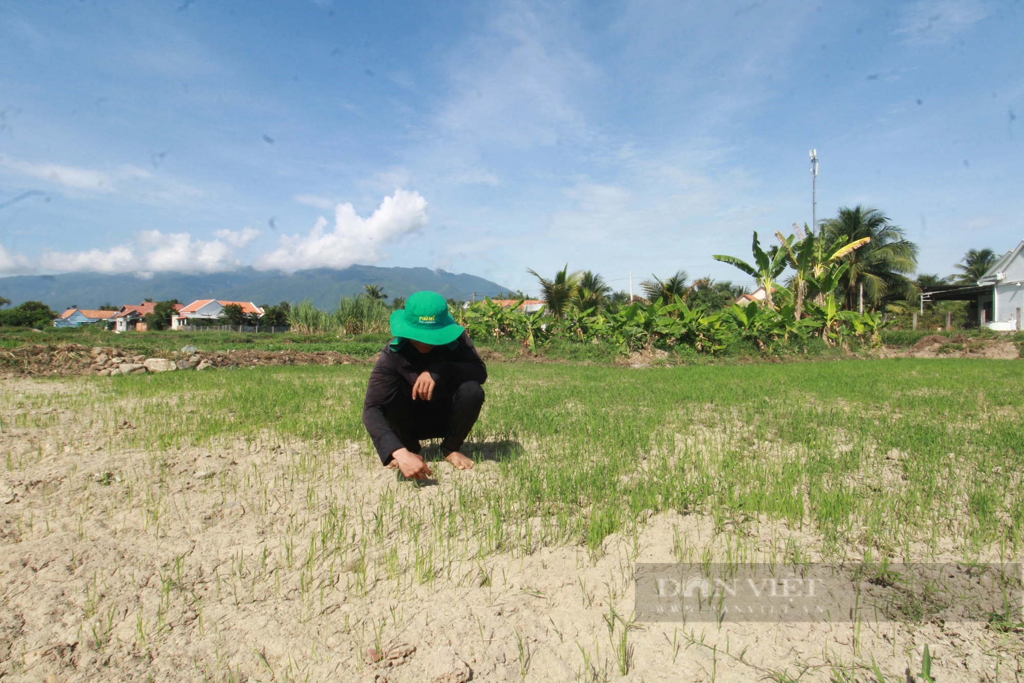 Dân một thôn ở Khánh Hòa đang tìm đủ mọi cách để có nước tưới cho cây trồng- Ảnh 2.