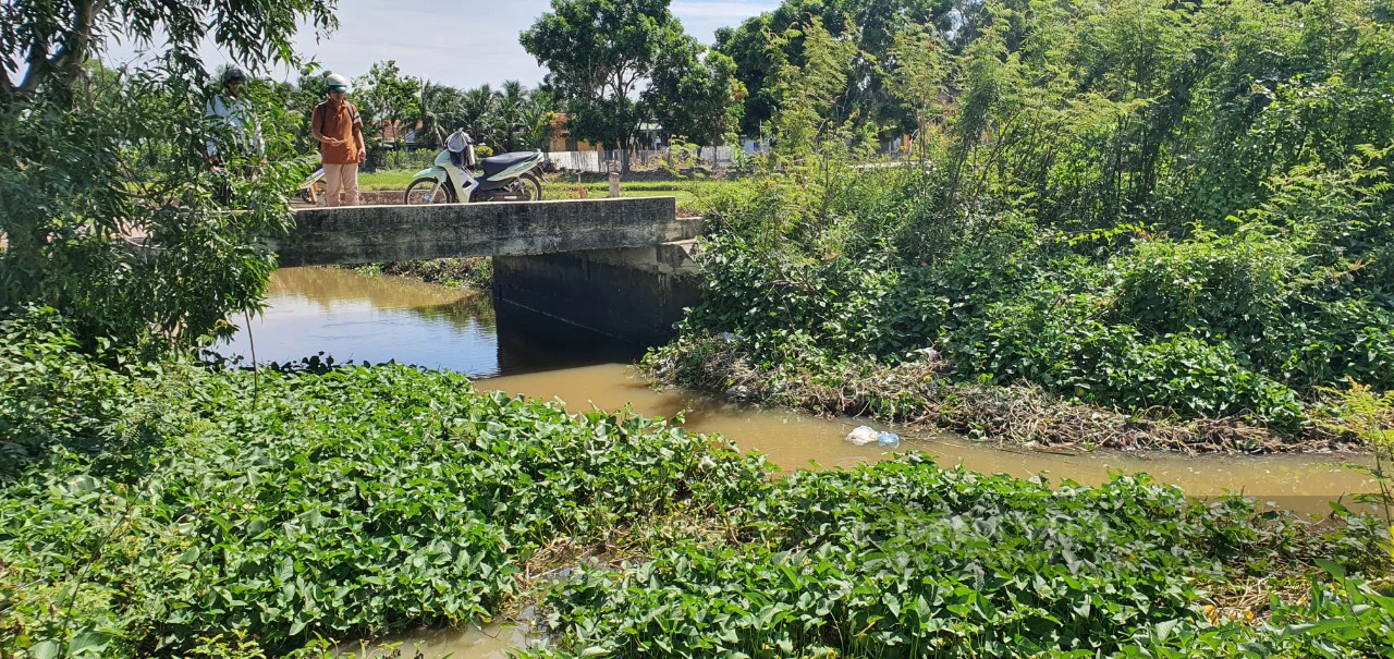 Dân một thôn ở Khánh Hòa đang tìm đủ mọi cách để có nước tưới cho cây trồng- Ảnh 5.
