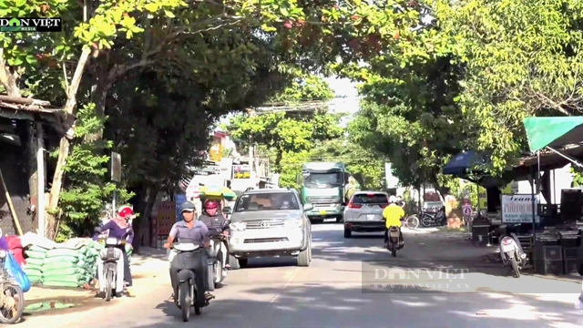 Những vấn đề "nóng" nào sẽ đưa ra trong đối thoại của Bí thư Tỉnh uỷ Quảng Ngãi với người dân Sơn Tịnh?- Ảnh 4.