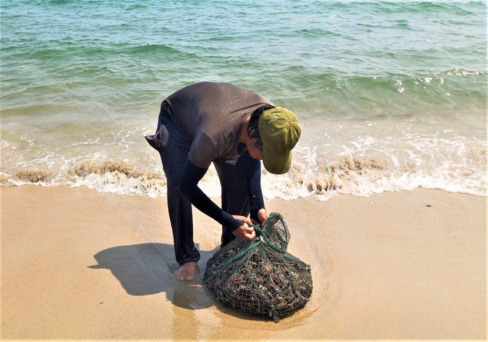 Một loài hải sản bu kín vào xác tàu đắm, kè đá, ngày ngày, ngư dân Quảng Nam lặn biển đi bắt thu tiền triệu- Ảnh 5.