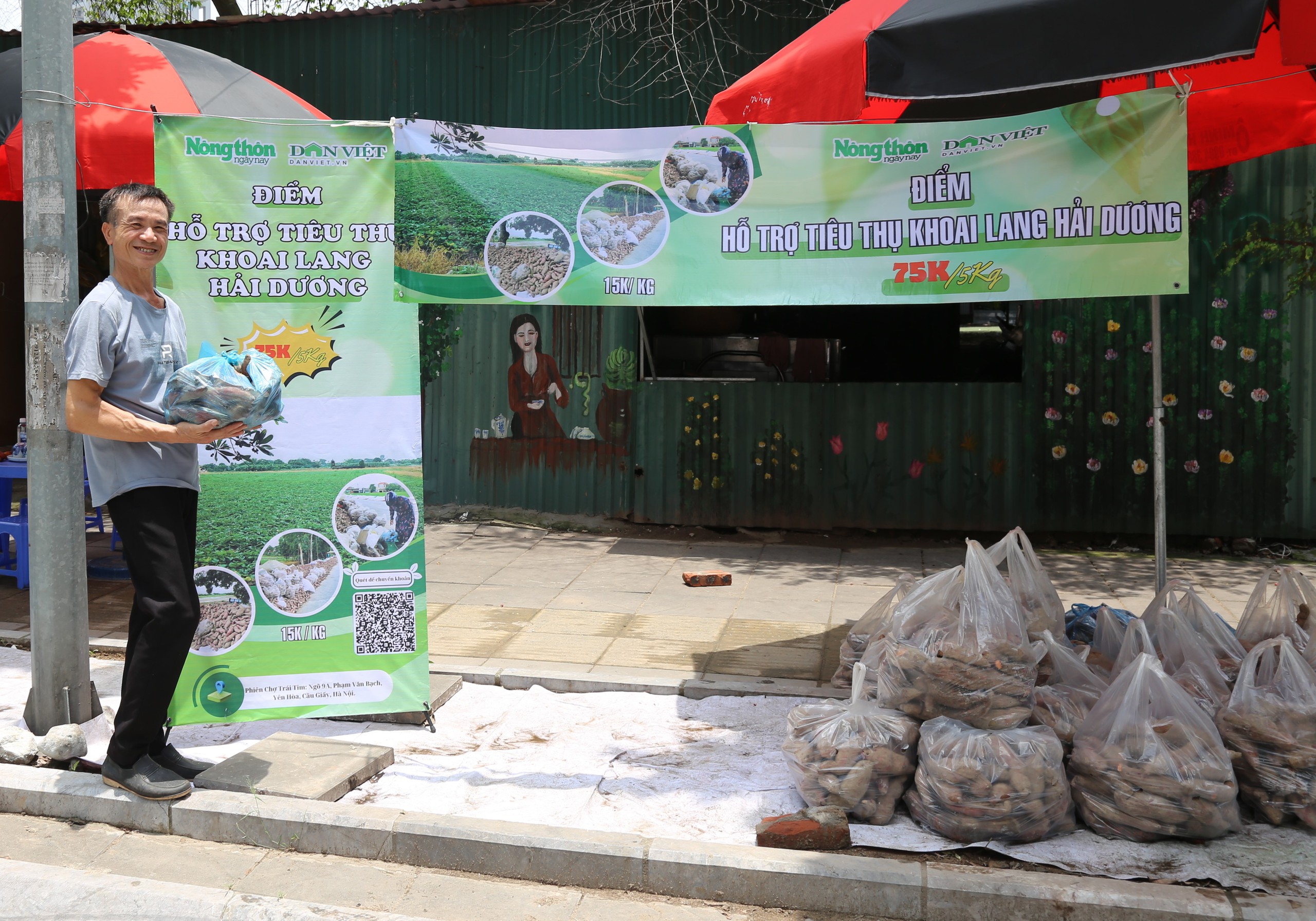 5 tấn khoai lang của nông dân Hải Dương được Báo NTNN/Dân Việt hỗ trợ tiêu thụ đợt 1- Ảnh 1.