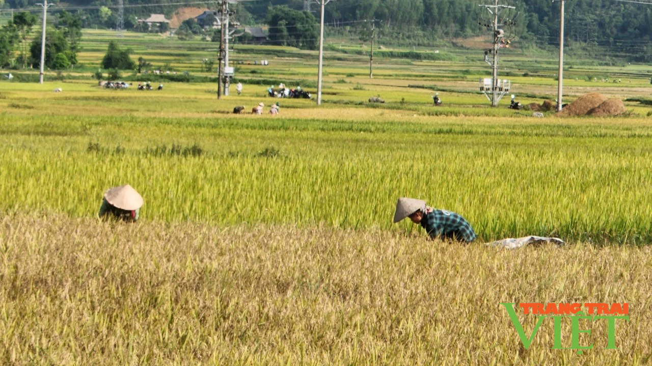 Lai Châu: Nhiều kết quả nổi bật trong phát triển kinh tế – xã hội- Ảnh 1.