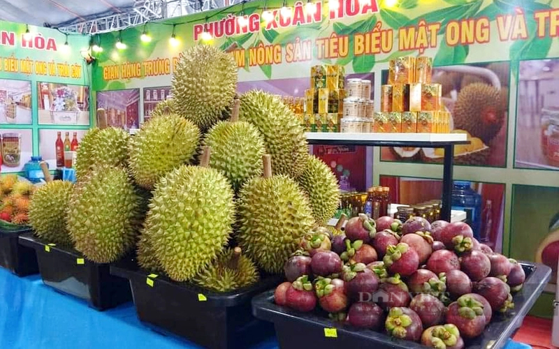 Trái cây của nông dân phường Xuân Hòa (TP.Long Khánh) tại Lễ hội Trái cây Long Khánh 2024. Ảnh: T.L