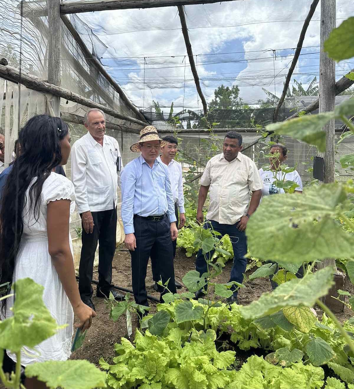 Đoàn công tác Trung ương Hội Nông dân Việt Nam dâng hoa tưởng niệm Chủ tịch Hồ Chí Minh tại Cuba- Ảnh 4.