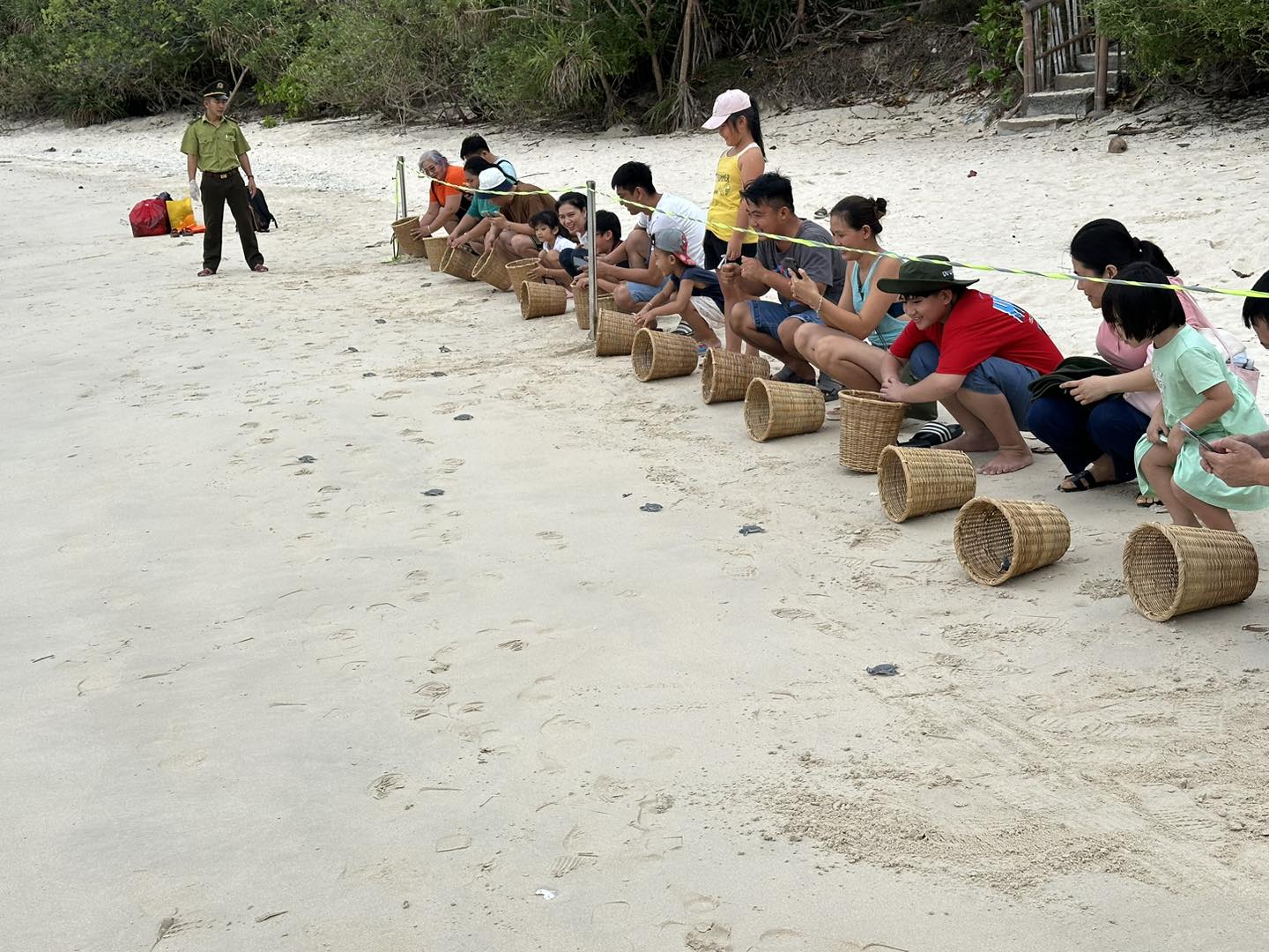 87 con động vật hoang dã mang "quốc tịch" Malaysia được sinh ra ở một hòn đảo của Việt Nam đã về với biển- Ảnh 2.