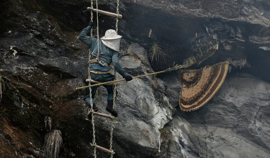 Cận cảnh nghề săn mật ong bên vách núi dựng đứng ở Nepal, có người bị ong đốt ngã gục- Ảnh 7.