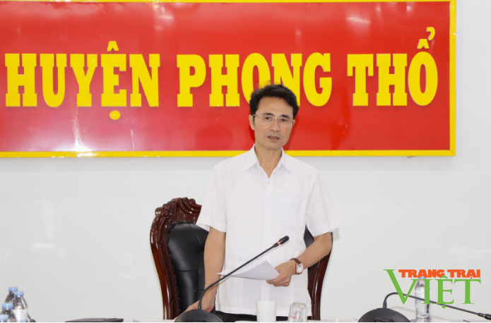 Phong Thổ cần rà soát lại các diện tích đất nông nghiệp kém hiệu quả, chuyển sang cây trồng khác phù hợp, hiệu quả hơn- Ảnh 4.