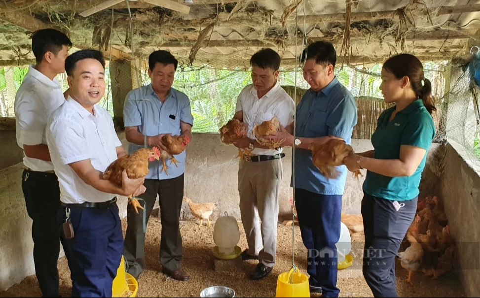 Nông dân Lào Cai thăm quan, học tập mô hình nuôi sâu canxi, nuôi giun trùn quế bằng rác thải hữu cơ- Ảnh 2.