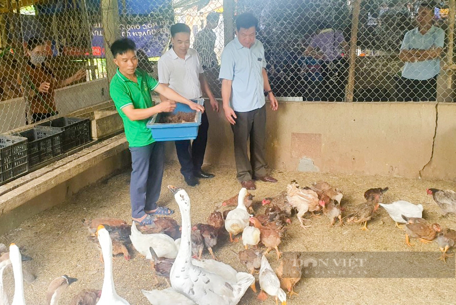 Nông dân Lào Cai thăm quan, học tập mô hình nuôi sâu canxi, nuôi giun trùn quế bằng rác thải hữu cơ- Ảnh 3.