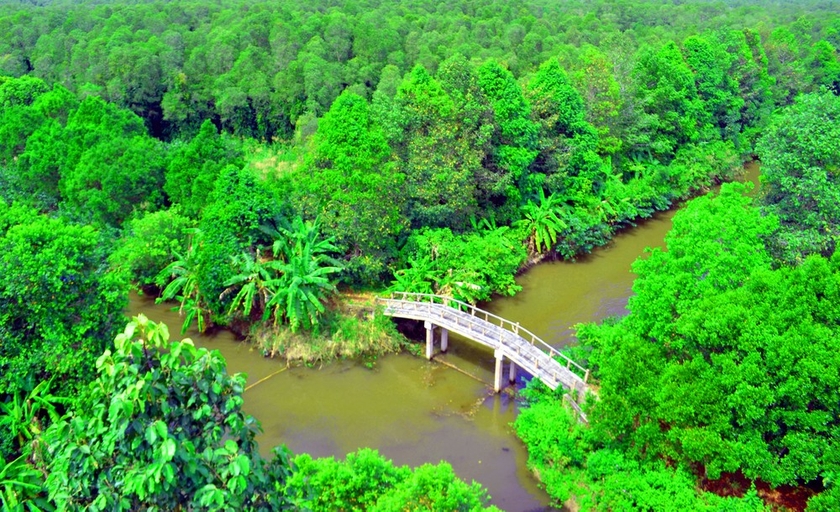 Một khu bảo tồn thiên nhiên nổi tiếng ở Hậu Giang được thành lập sau chuyến ghé thăm của cố Thủ tướng Võ Văn Kiệt- Ảnh 5.