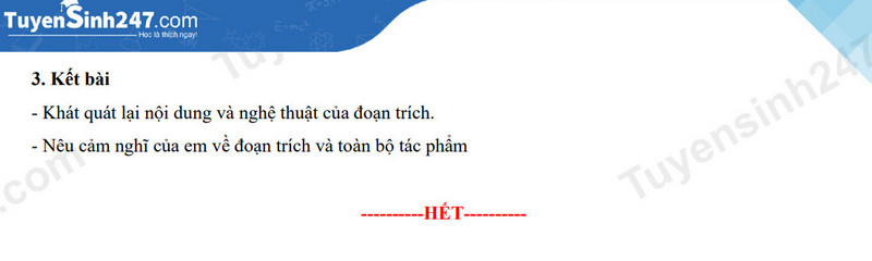 Đề thi môn Văn vào lớp 10 năm 2024 của Thanh Hóa có gợi ý đáp án- Ảnh 7.