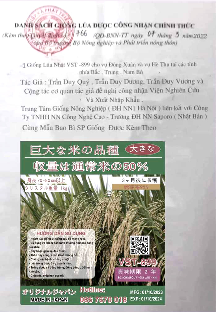 Hàng trăm hộ dân Phú Thọ mất trắng vụ xuân vì mua giống lúa lạ được "nổ" siêu năng suất trên mạng xã hội - Ảnh 4.