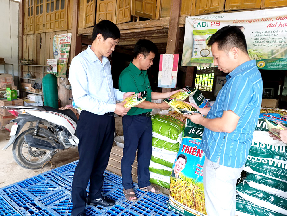 Hàng trăm hộ dân Phú Thọ mất trắng vụ xuân vì mua giống lúa lạ được "nổ" siêu năng suất trên mạng xã hội - Ảnh 3.