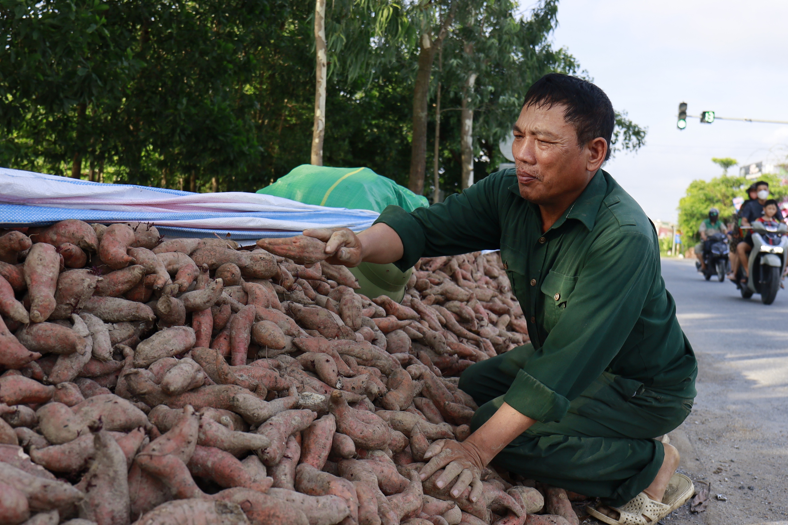 Hơn 20 đơn vị, cá nhân cùng Báo Dân Việt “tiếp lửa" tiêu thụ hàng chục tấn khoai lang giúp nông dân Hải Dương- Ảnh 15.