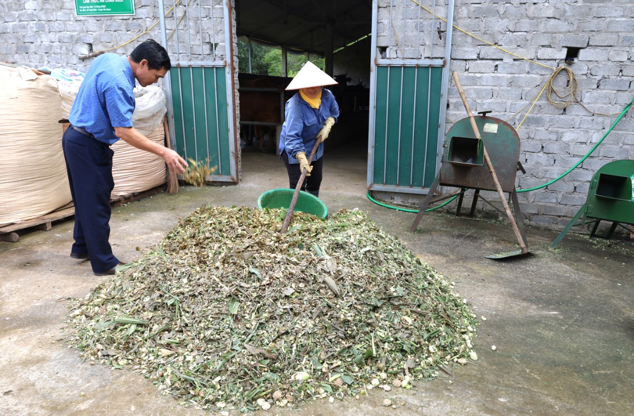 Ninh Bình: Tuyên truyền, vận động nông dân xử lý rác thải bảo vệ môi trường - Ảnh 2.