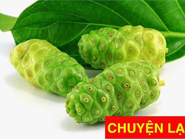 Cựu thanh niên xung phong đau lưng liệt giường, nay đi thoăn thoắt chỉ nhờ thảo dược xưa nay hiếm!