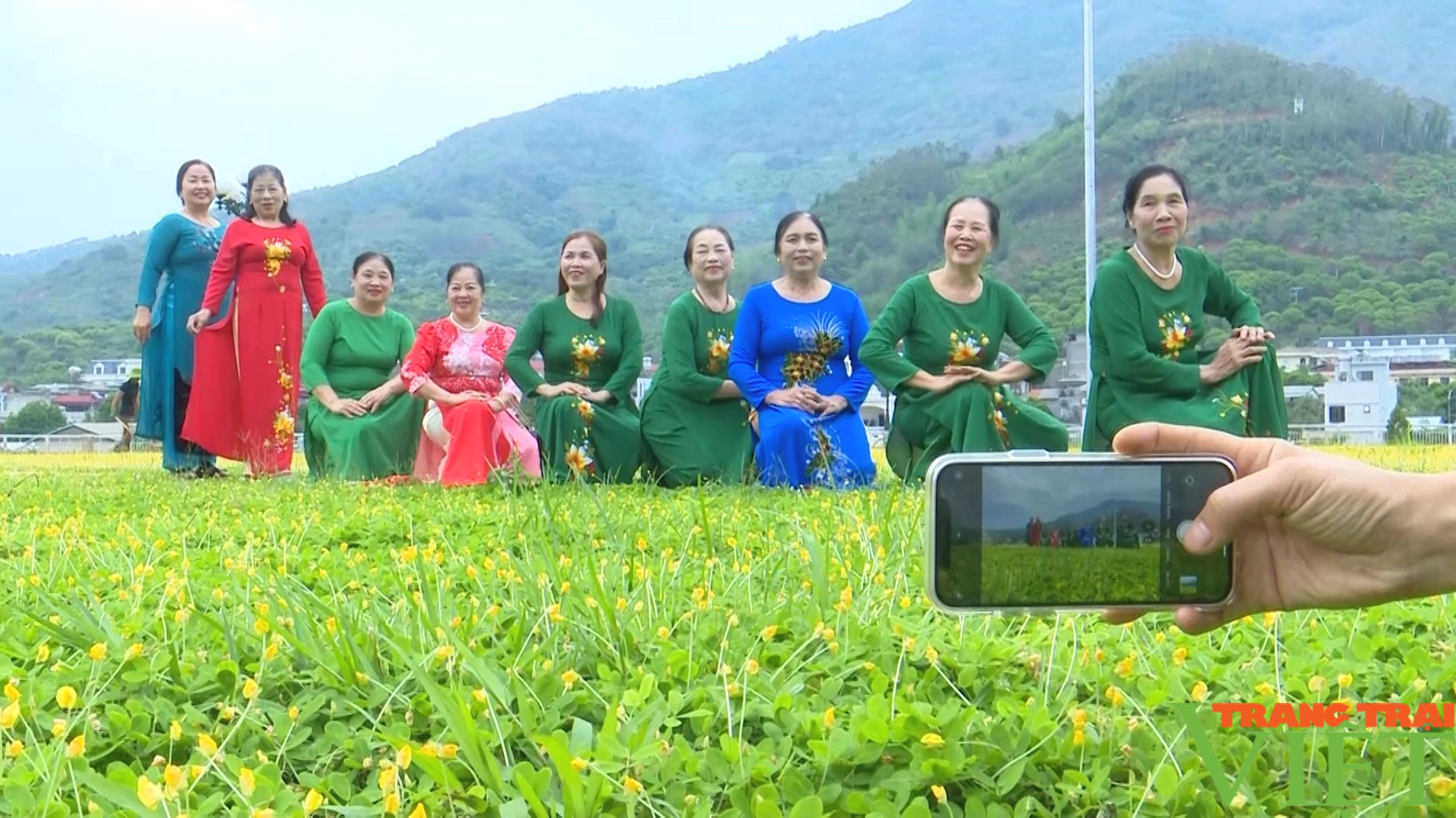 Lung linh sắc vàng hoa cỏ lạc bên dòng sông Mã- Ảnh 3.