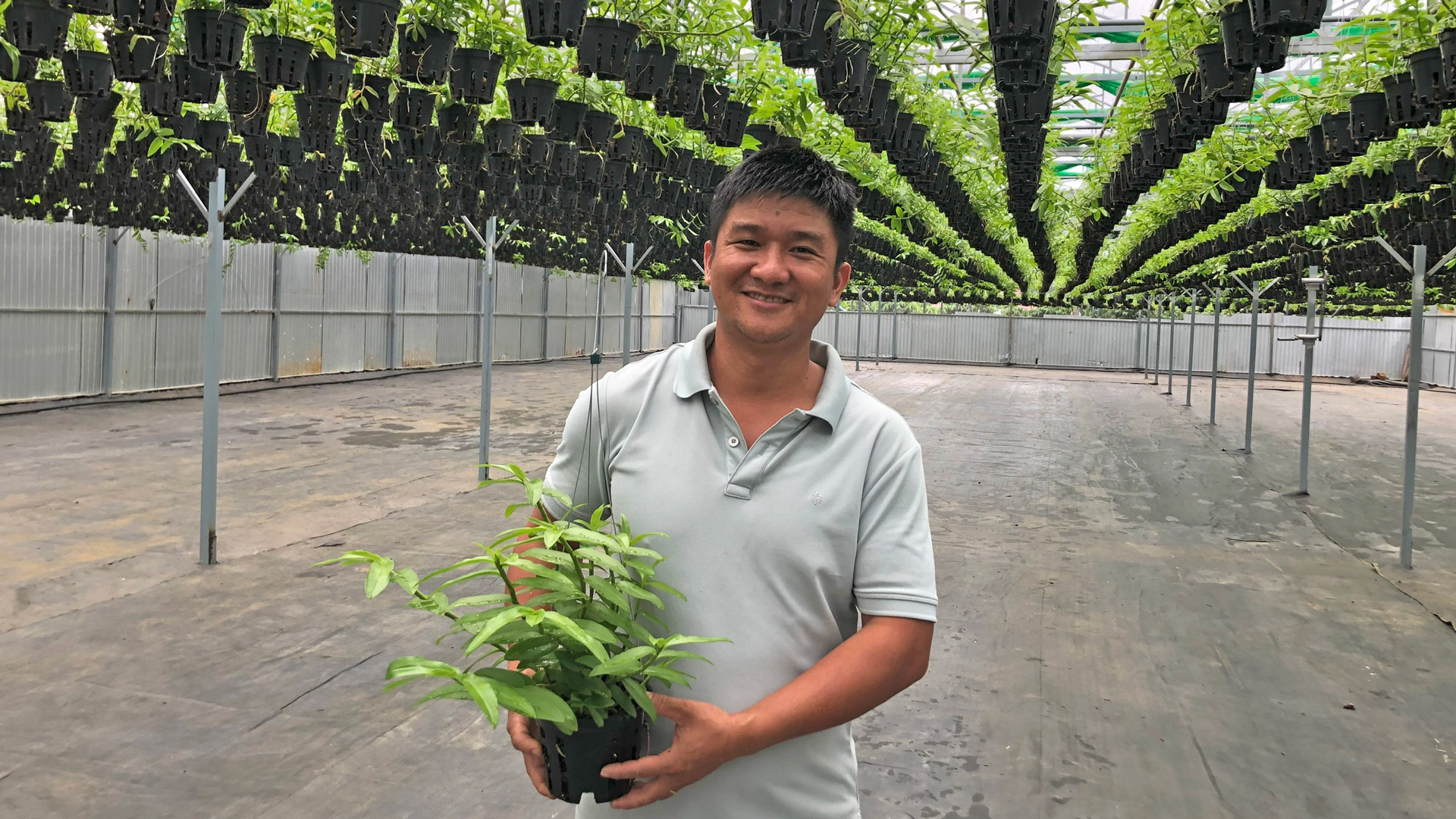 Đây là tỷ phú nông dân ở Lâm Đồng, anh giàu lên nhờ trồng thứ cây cảnh treo bóng râm, đó là cây gì vậy?- Ảnh 2.
