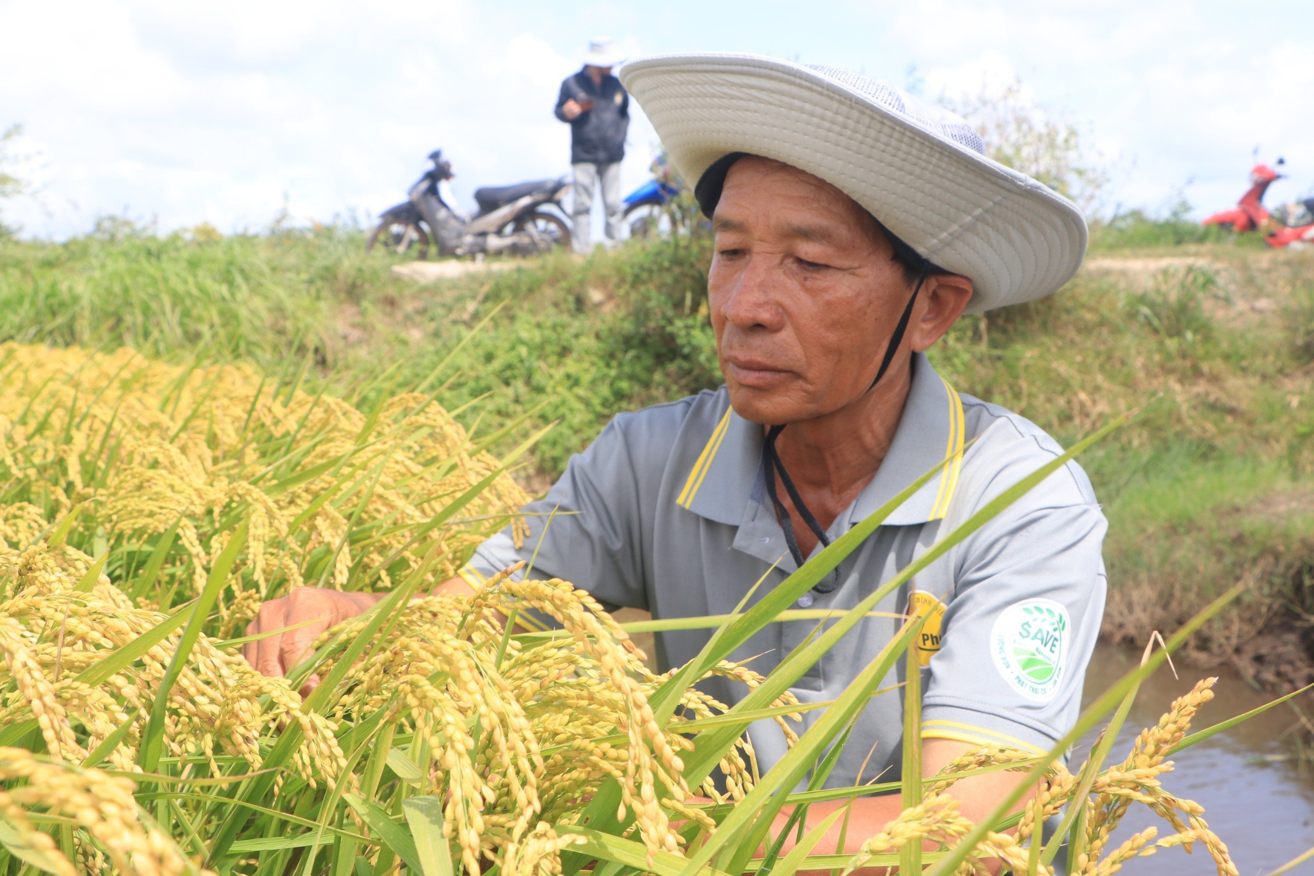 Những đề tài nghiên cứu sức khỏe của đất ngày càng hiếm, có năm không có đề tài nào- Ảnh 5.