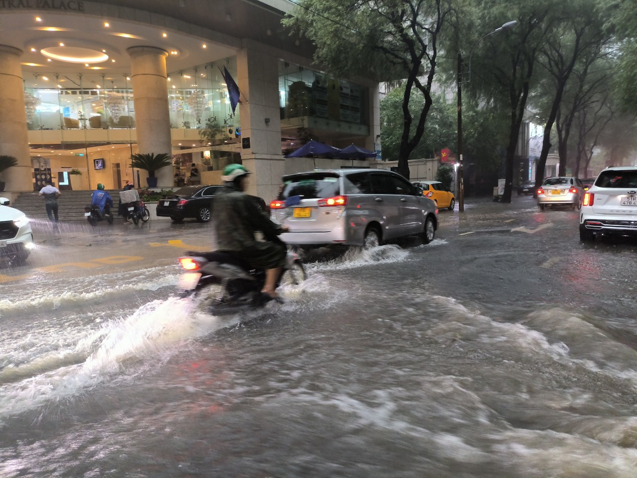 Cây đổ, đường ngập sâu ở trung tâm TP.HCM sau cơn mưa lớn- Ảnh 7.