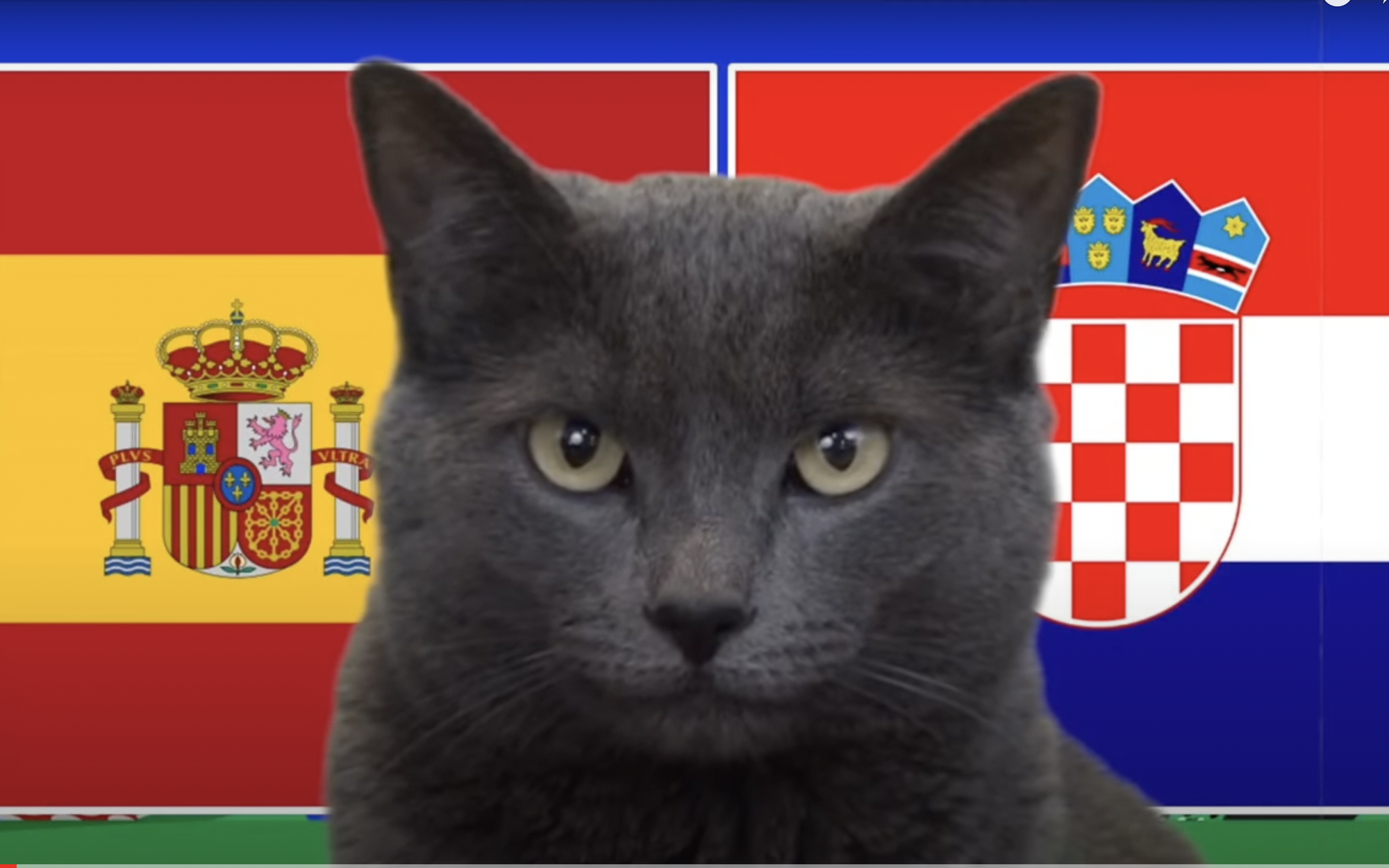 Mèo tiên tri Cass dự đoán kết quả Tây Ban Nha vs Croatia