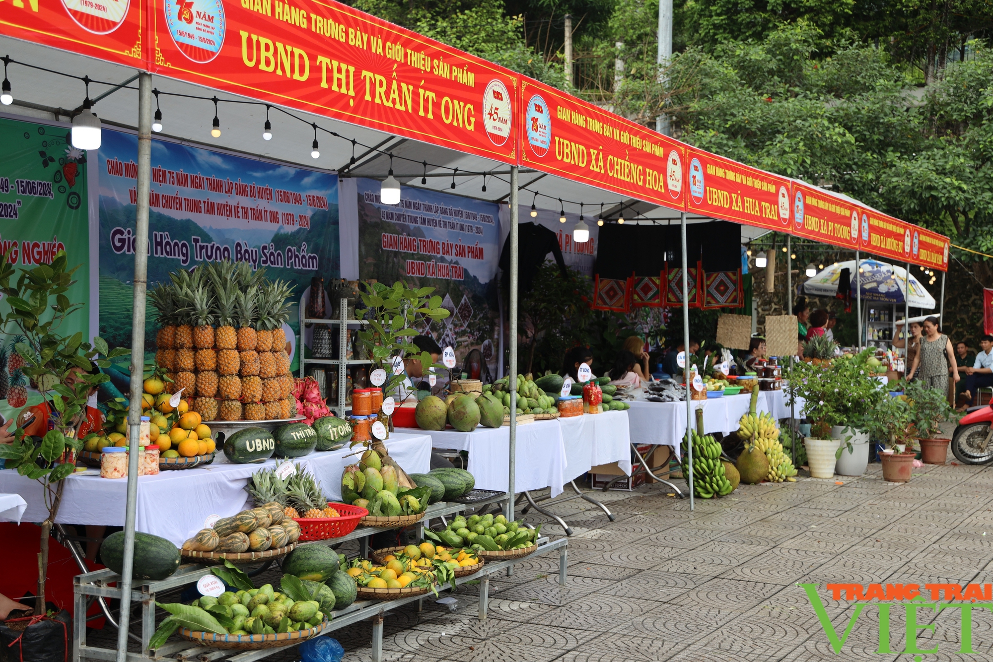 Trưng bày sản phẩm nông nghiệp tiêu biểu các huyện vùng cao Tây Bắc- Ảnh 1.