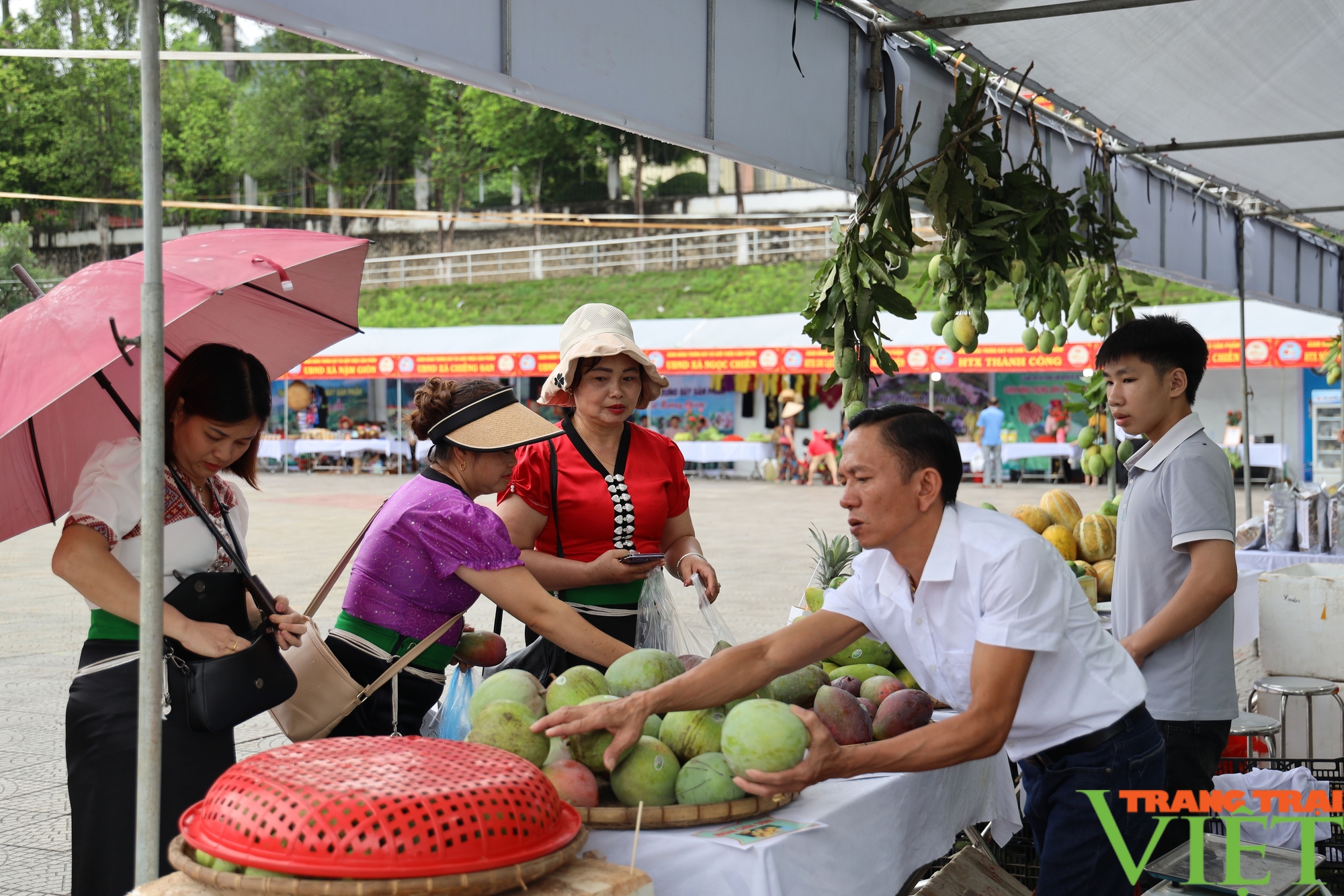 Trưng bày sản phẩm nông nghiệp tiêu biểu các huyện vùng cao Tây Bắc- Ảnh 6.