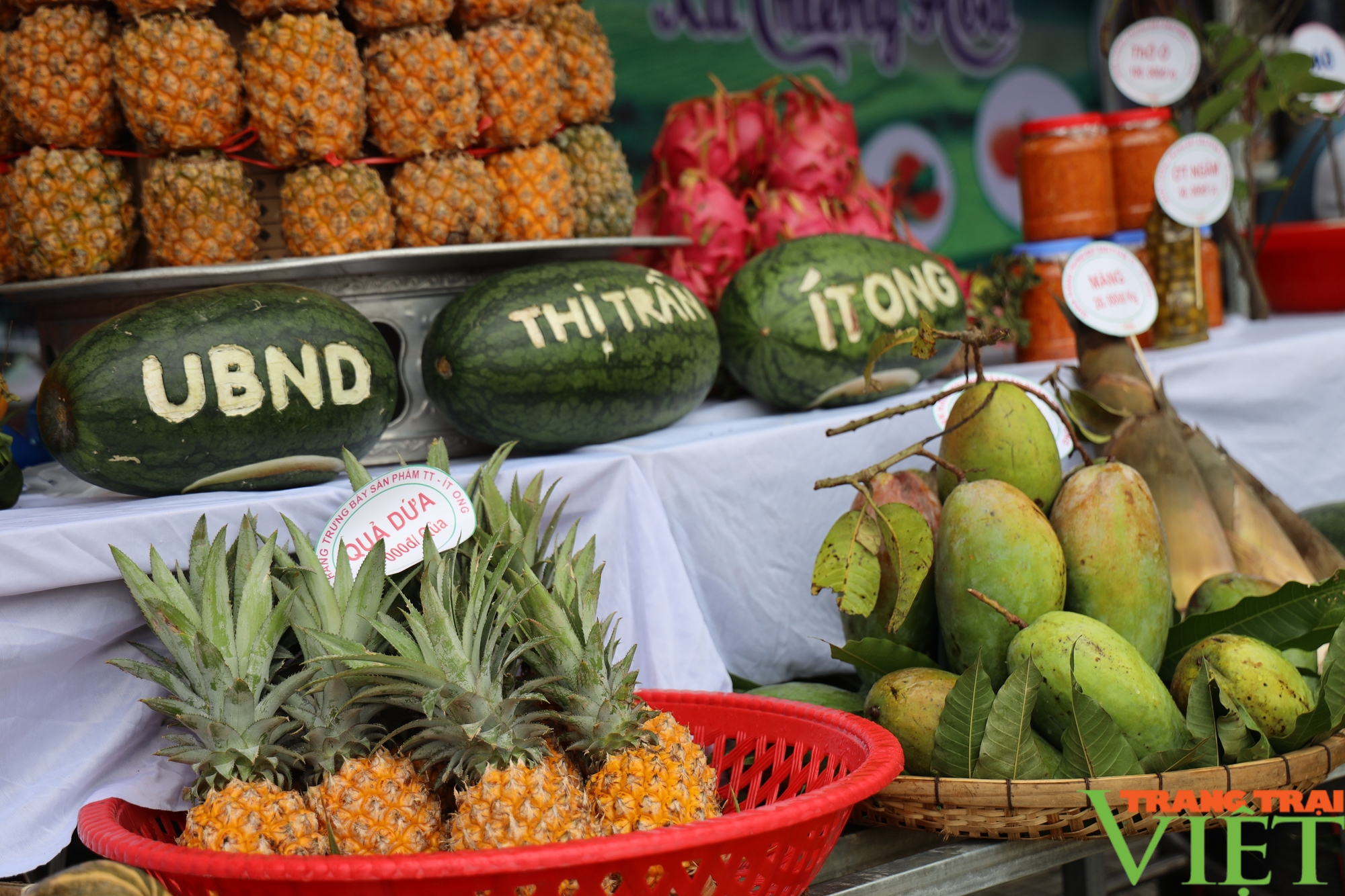 Trưng bày sản phẩm nông nghiệp tiêu biểu các huyện vùng cao Tây Bắc- Ảnh 7.