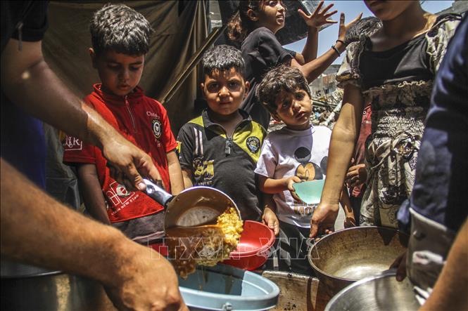 Nạn đói ngày càng trầm trọng ở phía Bắc Dải Gaza- Ảnh 1.