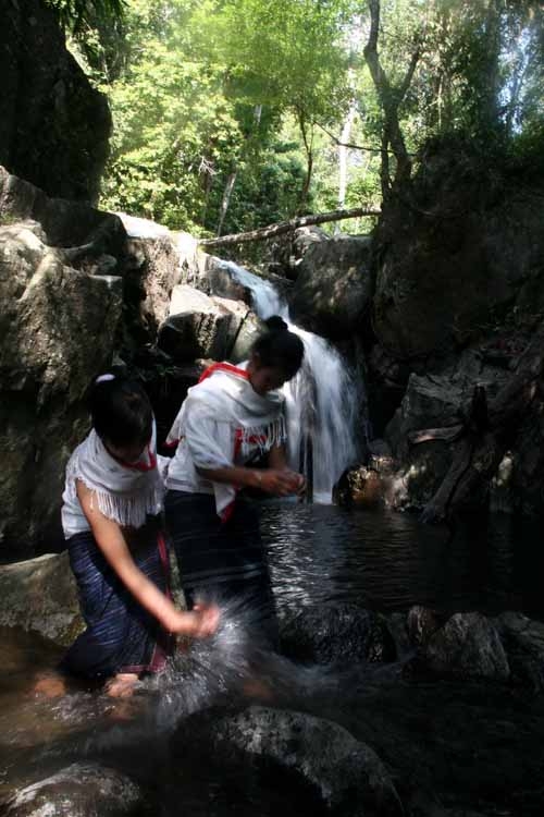 Vô một khu rừng nguyên sinh ở Lâm Đồng có ngọn thác tuôn đầy nước, tên là thác nước kêu, nghe bất ngờ- Ảnh 2.