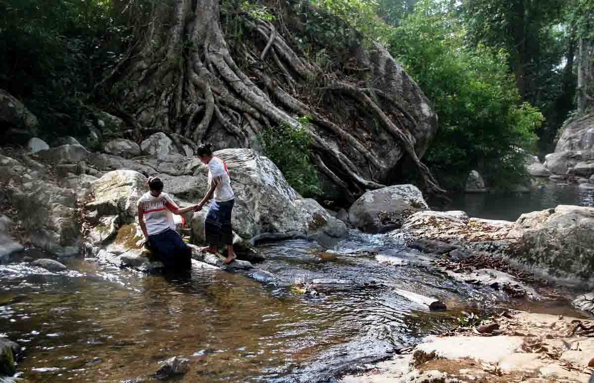 Vô một khu rừng nguyên sinh ở Lâm Đồng có ngọn thác tuôn đầy nước, tên là thác nước kêu, nghe bất ngờ- Ảnh 3.