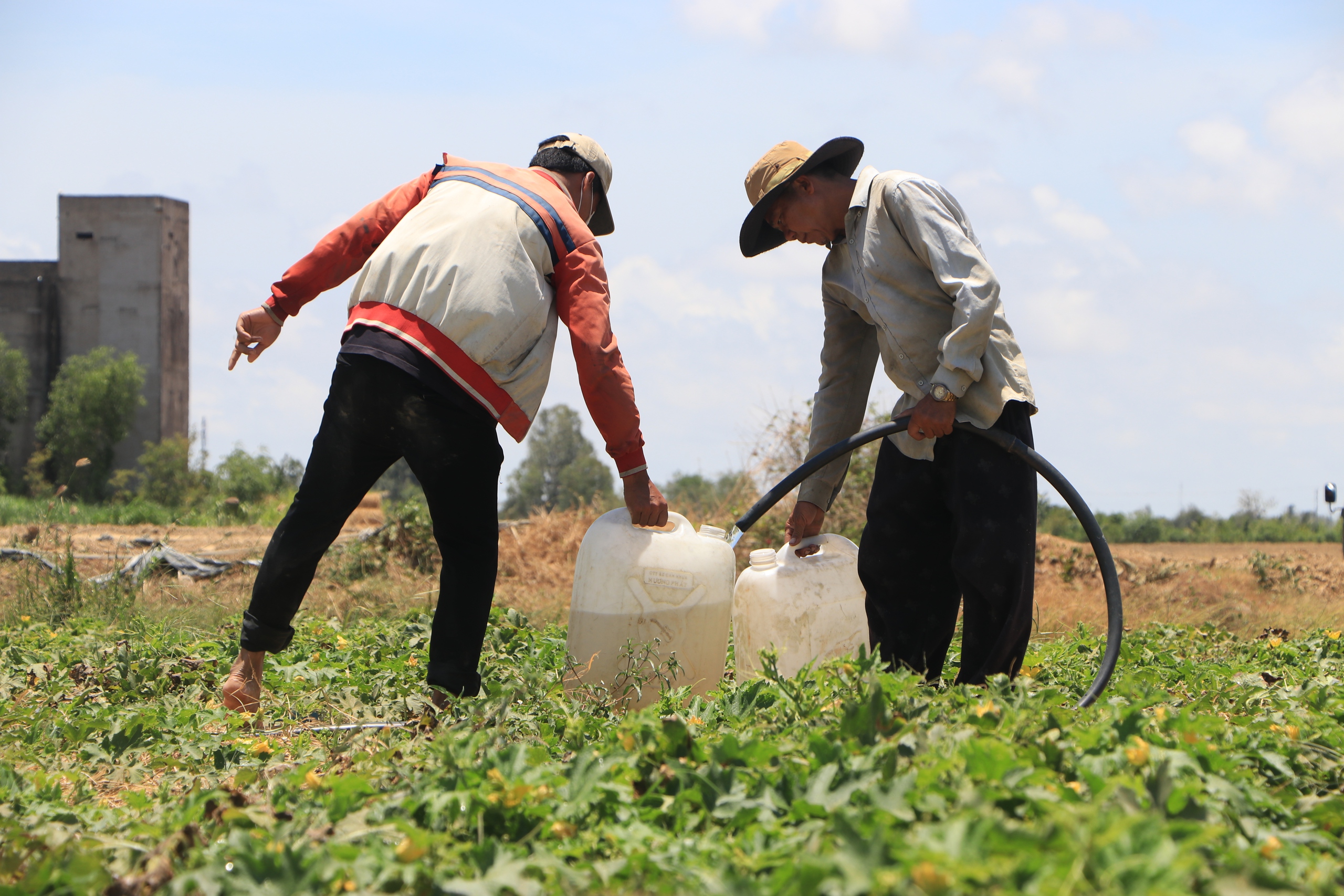 Đồng bằng sản xuất nông sản lớn nhất Việt Nam đang thiếu nhân lực chất lượng cao- Ảnh 5.