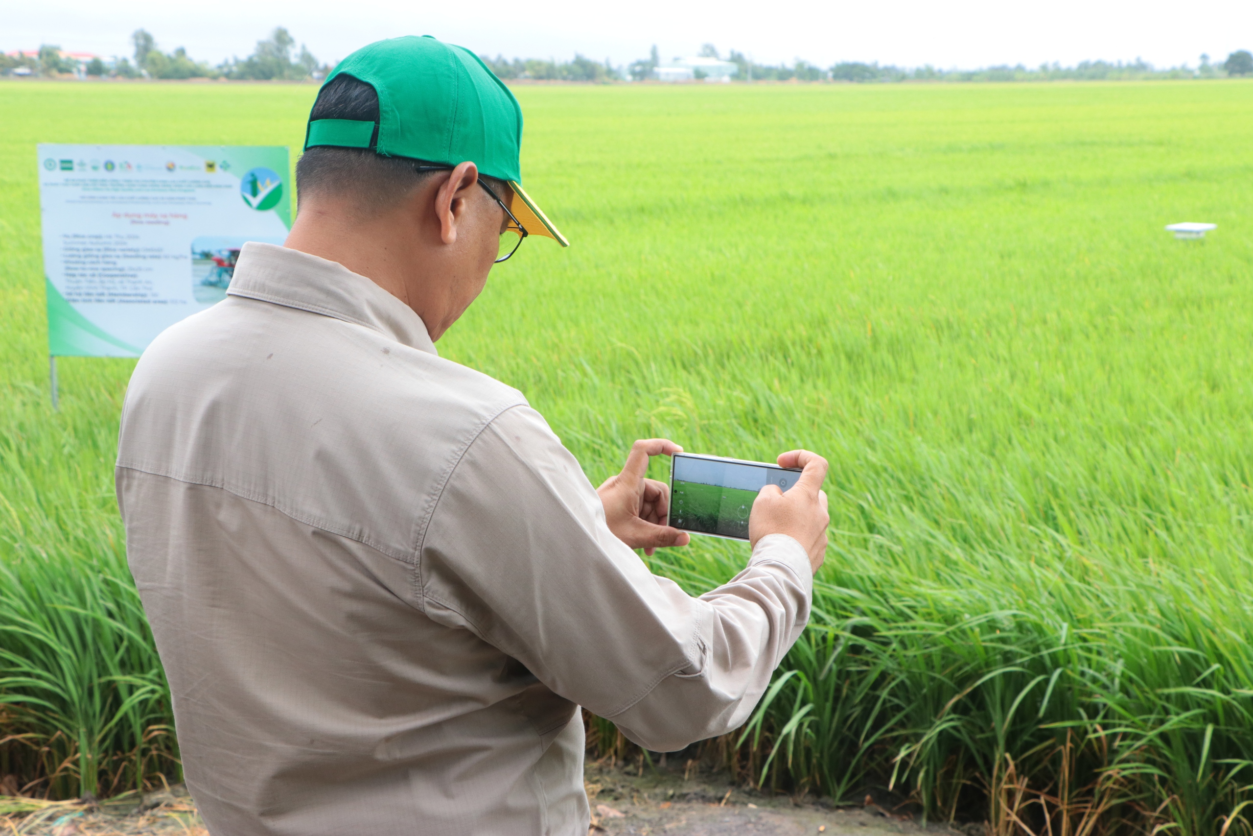 Đồng bằng sản xuất nông sản lớn nhất Việt Nam đang thiếu nhân lực chất lượng cao- Ảnh 3.
