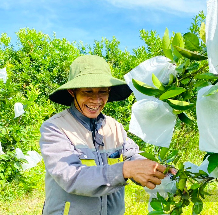 Một ông nông dân Quảng Bình nuôi cá dưới ao, trồng "thập cẩm" cây ăn quả trên vườn, thu 300 triệu/năm- Ảnh 1.