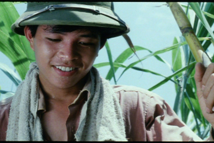 Thương nhớ đồng quê - bộ phim đậm nét nhất về làng quê Việt Nam công chiếu ở Đà Nẵng- Ảnh 5.