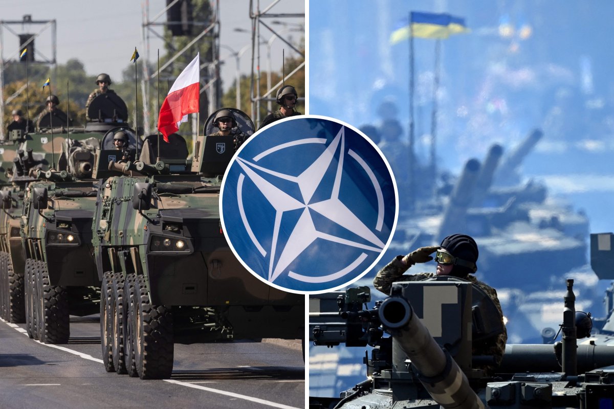 Dấu hiệu hỗn loạn trong NATO vì Ukraine- Ảnh 1.