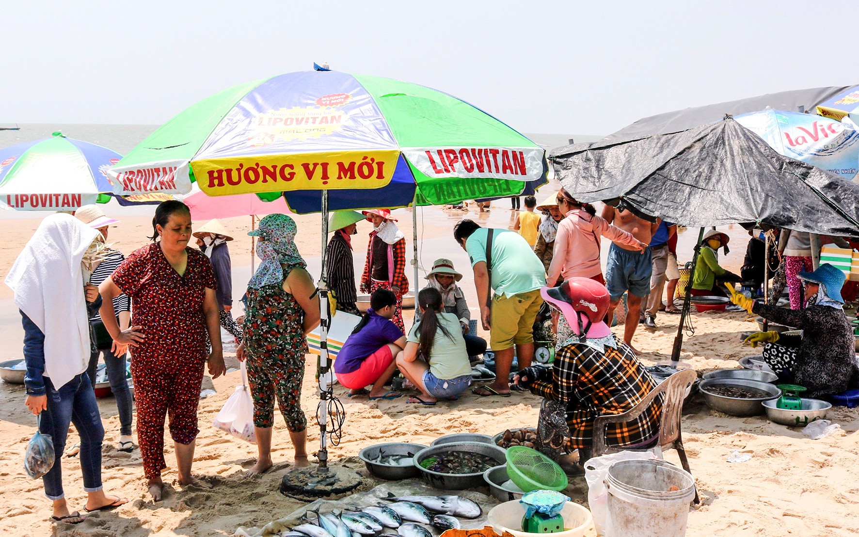 Ở một nơi của Bình Thuận thấy cắm ô rợp trời, ngỡ bãi biển tấp nập, hóa ra là chợ làng, bán cá theo chậu