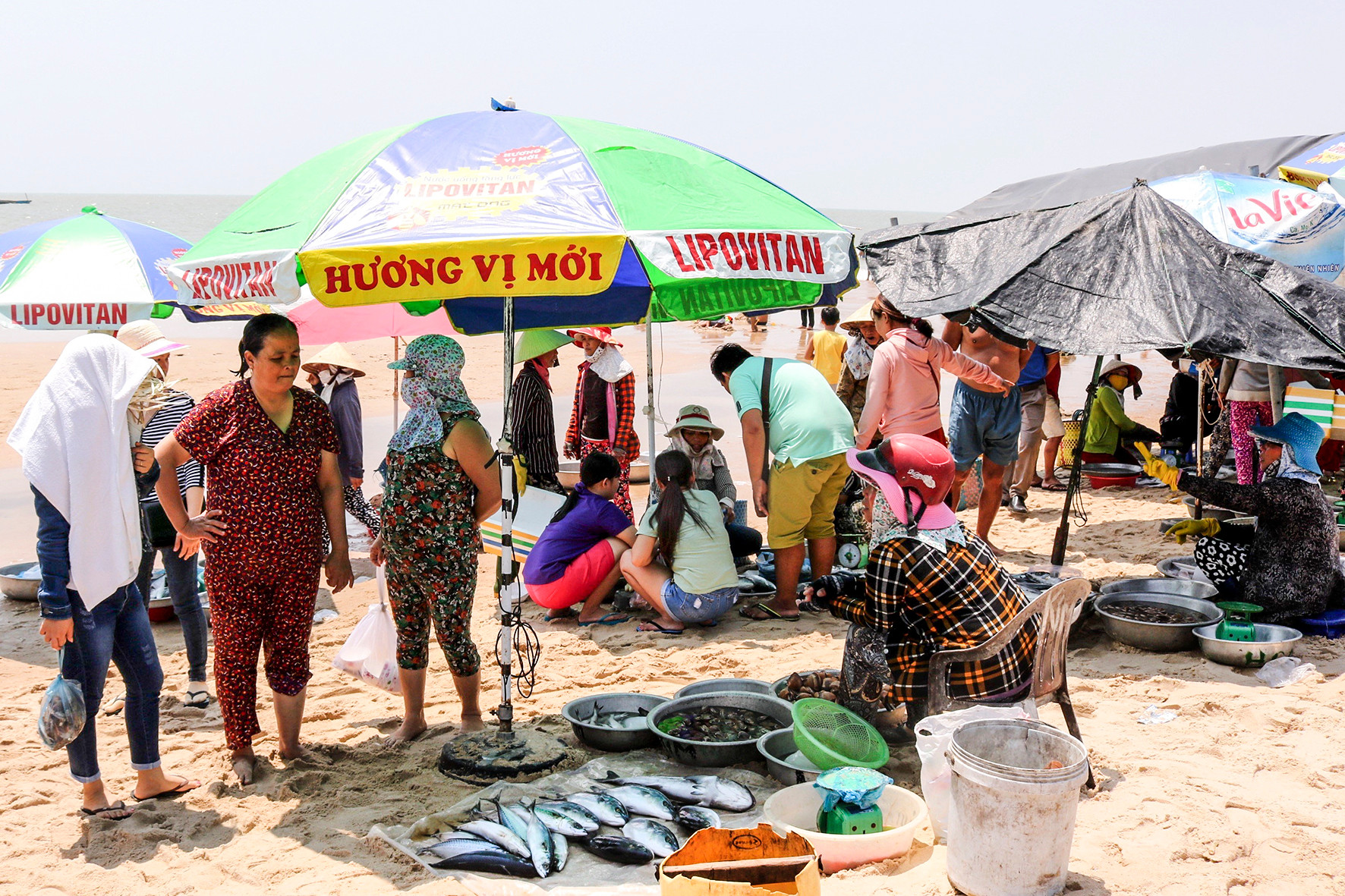 Ở một nơi của Bình Thuận thấy cắm ô rợp trời, ngỡ bãi biển tấp nập, hóa ra là chợ làng, bán cá theo chậu- Ảnh 5.