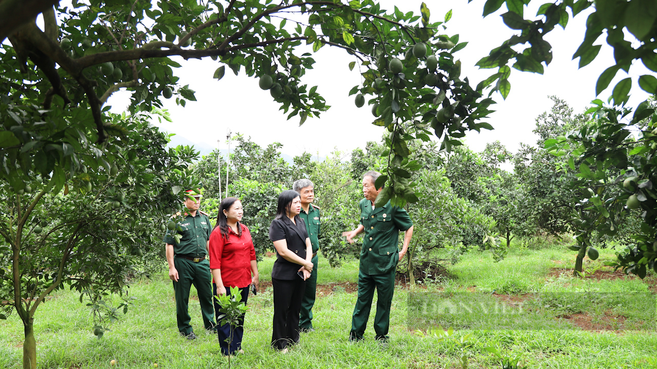 Sơn La: Thực hiện tốt Chương trình phối hợp giữa Quân đội nhân dân với Hội Nông dân Việt Nam- Ảnh 1.