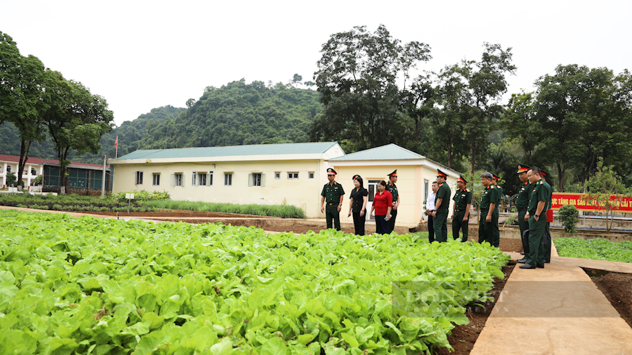 Sơn La: Thực hiện tốt Chương trình phối hợp giữa Quân đội nhân dân với Hội Nông dân Việt Nam- Ảnh 2.