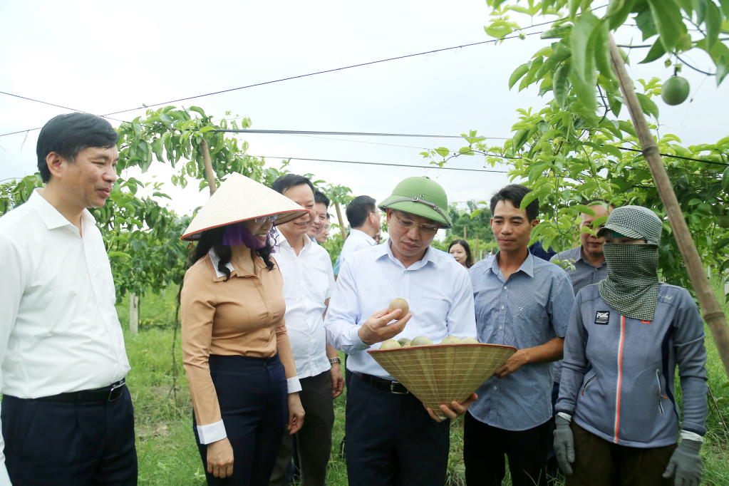 Quảng Ninh làm cách nào để tăng sản lượng, chất lượng nông sản xuất khẩu?- Ảnh 3.