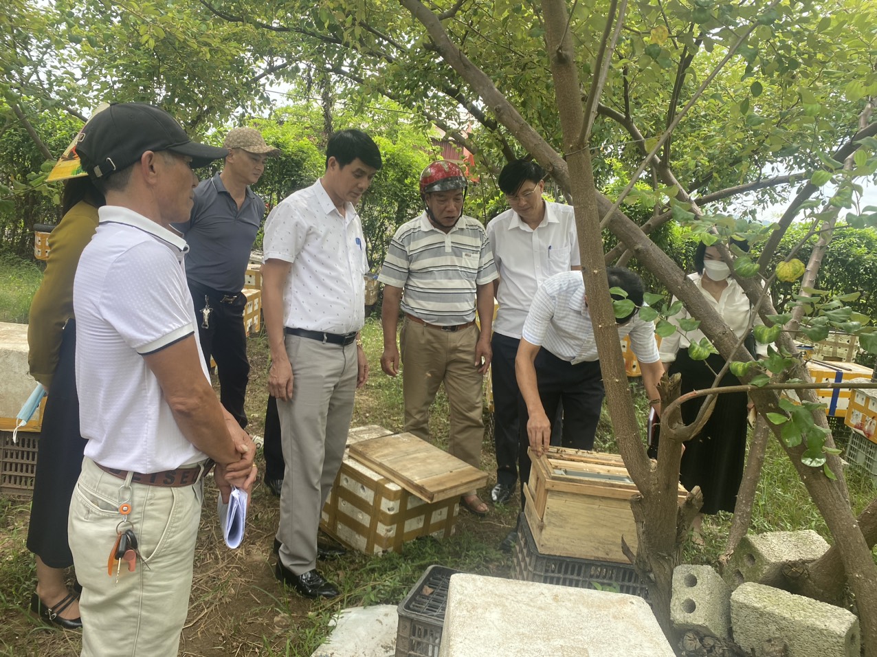 TP.Hải Phòng: Hội Nông dân phường Bàng La ra mắt Tổ hội nông dân nghề nghiệp nuôi ong- Ảnh 2.