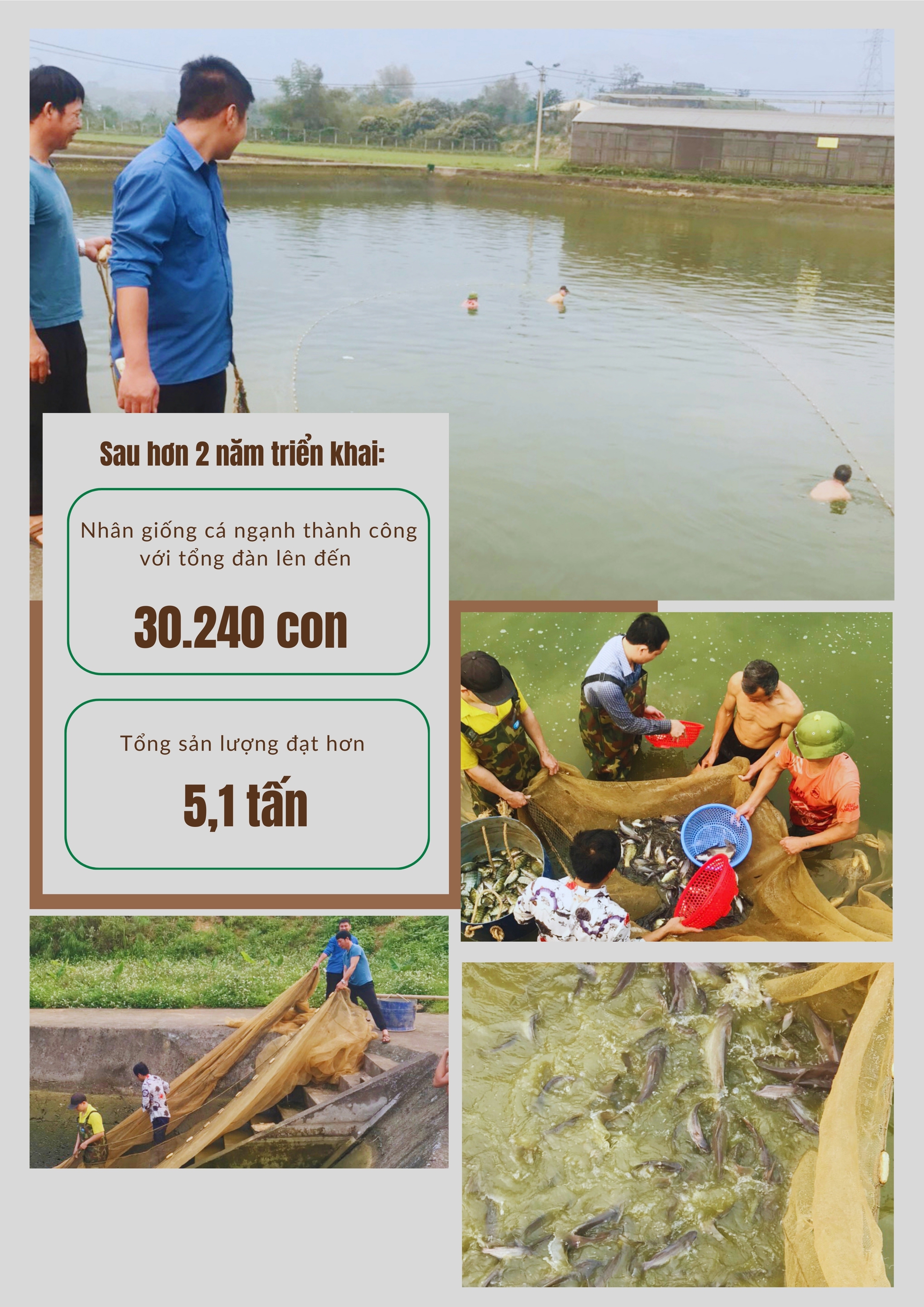 Ở một xã của Lào Cai, dân đang nuôi loại cá đặc sản, nghe tên đã thích, thấy tận mắt còn ham mua- Ảnh 5.