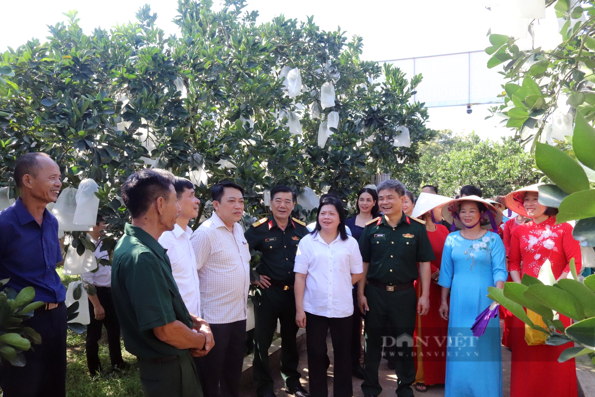 Nhiều kết quả nổi bật trong thực hiện Chương trình 1781 trên địa bàn tỉnh Hòa Bình- Ảnh 6.